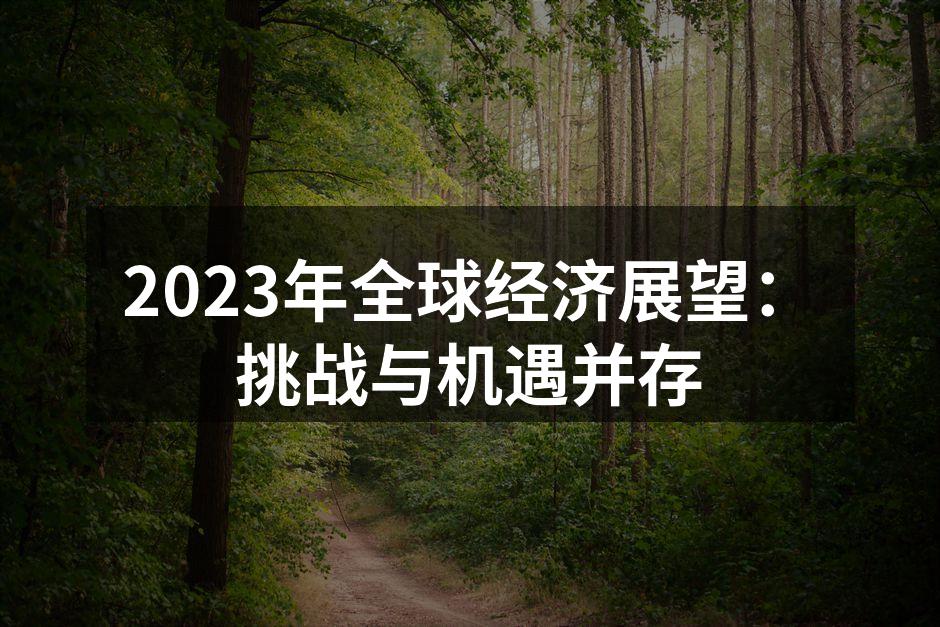 2023年全球经济展望：挑战与机遇并存
