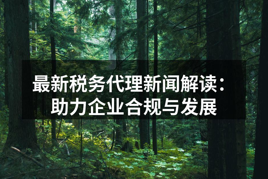 最新税务代理新闻解读：助力企业合规与发展