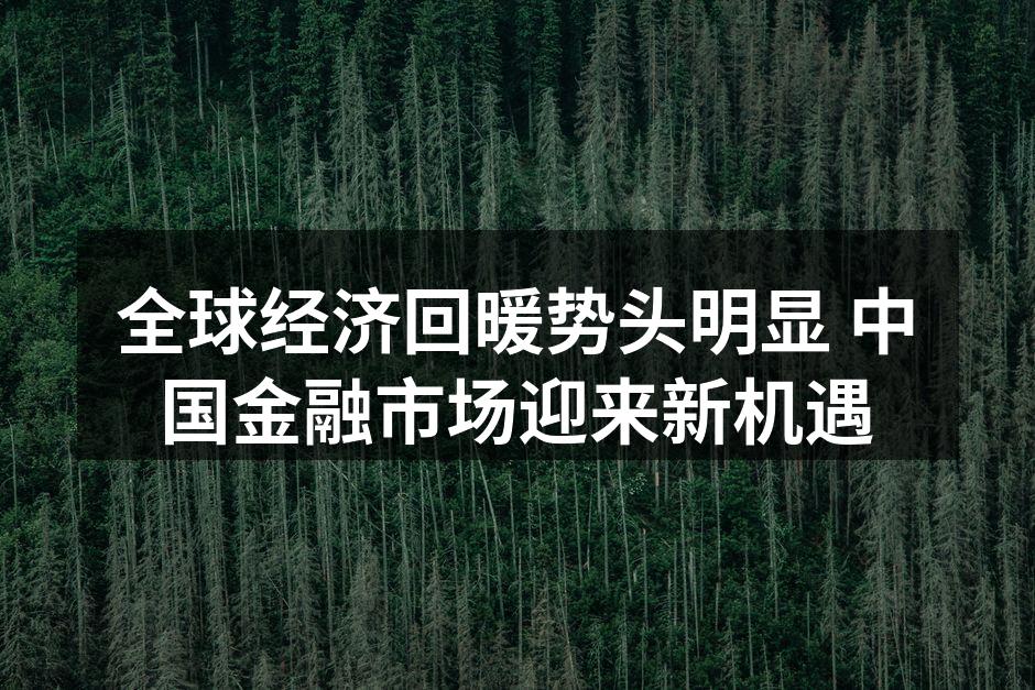 全球经济回暖势头明显 中国金融市场迎来新机遇
