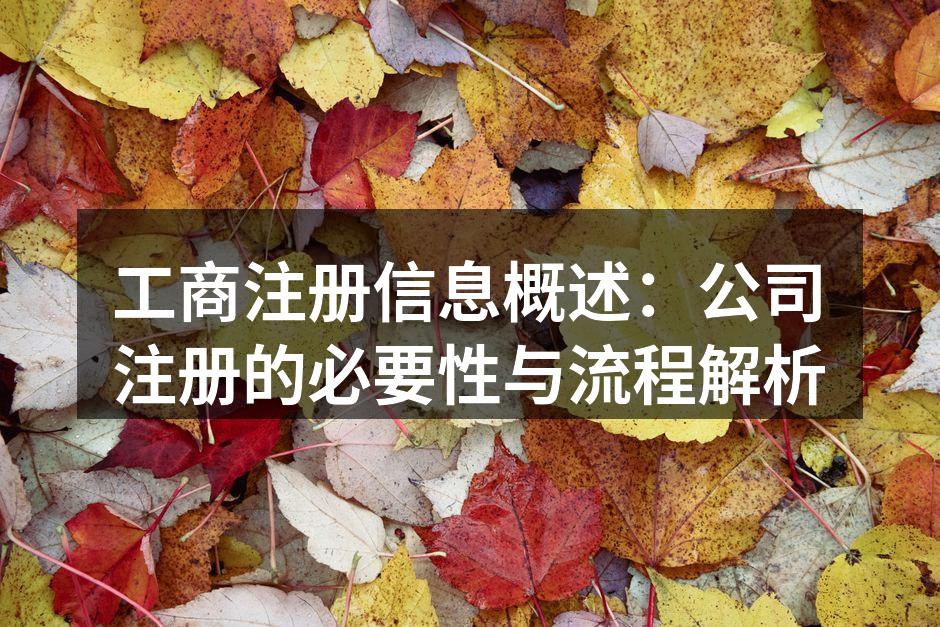 工商注册信息概述：公司注册的必要性与流程解析