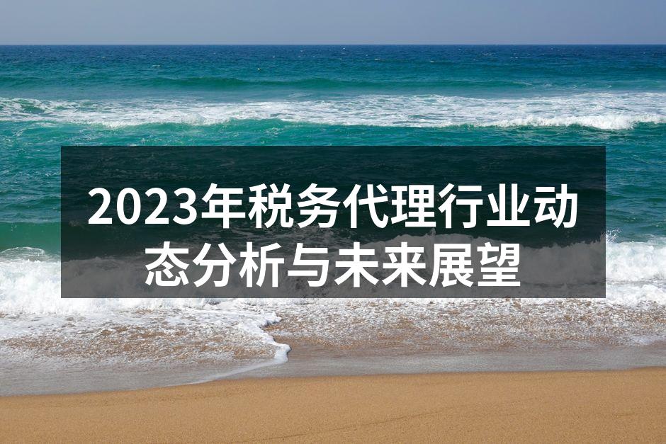 2023年税务代理行业动态分析与未来展望